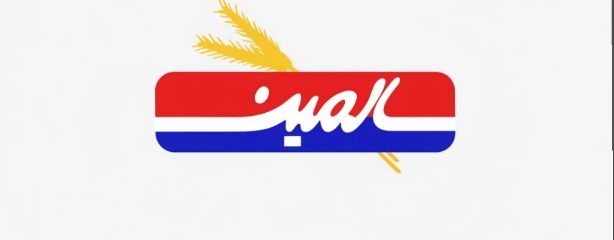 شرکت سالمین